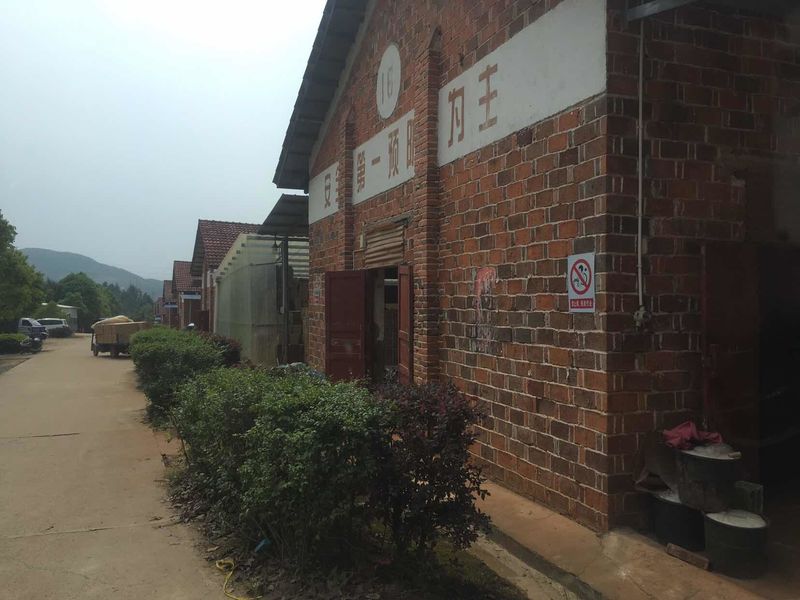 الصين Liuyang Mandarin Fireworks Co., Ltd. ملف الشركة