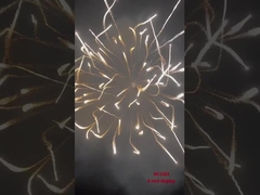 العروض المهنية الألعاب النارية قذائف الهاون المدفعية قذائف القذائف النارية الإمدادات 6 بوصة قذائف العروض