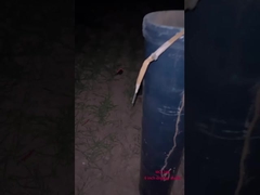 الألعاب النارية الصينية المهنية للاحتفال بالعام الجديد