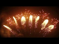 ألعاب نارية ماندرين للألعاب النارية 65 طلقة ألعاب نارية على شكل مروحة