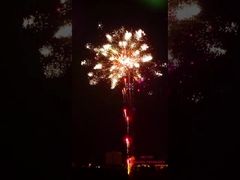 الألعاب النارية Liuyang للألعاب النارية 196 لقطة احترافية لعرض المؤثرات الخاصة للألعاب النارية