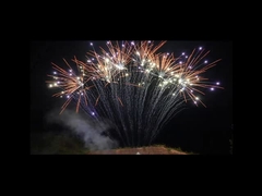 الماندرين 1.3 جرام الألعاب النارية 13 لقطة احترافية للألعاب النارية في صف واحد