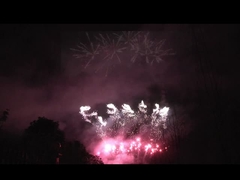 ليويانغ 56 طلقة ألعاب نارية محترفة عرض 1.3g Un0335 للاحتفال بالمهرجان