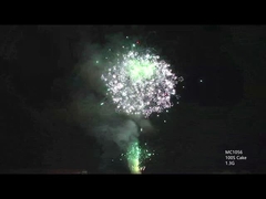 AFSL قابل للتخصيص 100 لقطة كعكة احترافية الألعاب النارية للاحتفال بالمهرجان