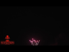 1.3g Un0335 عرض الألعاب النارية المهنية / 100 طلقة ألعاب نارية كعكة لعام جديد