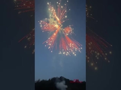 ليويانغ الفضية الحمار ذيل الألعاب النارية الكعك 2024 المصنع الصيني المفرقعات والألعاب النارية الكعك المستهلك