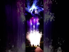 الصينيون المخصصون 100 طلقة الكعكة الفيروتيكية المستهلك الألعاب النارية للعام الجديد