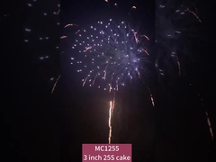 الصينية 25 طلقة كعكة الألعاب النارية الألعاب النارية للاحتفال الاجتماعات