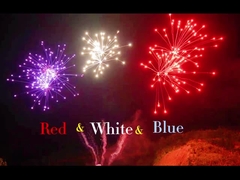 الصيني ليونيانغ المحترف 108 طلقات كعكة الألعاب النارية 1.4g Un0336