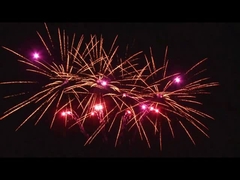 في الهواء الطلق 20 طلقات احتفال الكعكة الألعاب النارية مروحة على شكل مخصص 1.4g