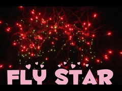 ألعاب نارية مصنوعة من الكعك الصيني مصنوعة خصيصاً 25 طلقة 500G