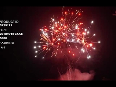 ليويانغ 20 طلقة 500 غرام ألعاب نارية مخصصة كعكة لعام جديد