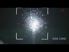 أداة الرصاص 300 طلقة 500 غرام كعكة ألعاب نارية مع موافقة CE EX AFSL