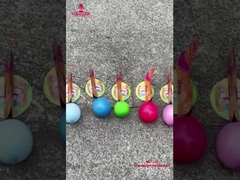 مصنع صيني للأطفال ألعاب نارية ليويانغ البجعة تضع البيض ألعاب نارية جديدة ألعاب نارية مضحكة للش