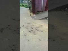 كرات سحرية ألعاب نارية 0.03CBM حماية البيئة للاجتماعات الاحتفالية