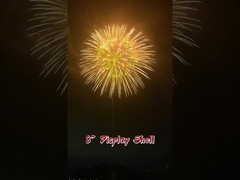 المهرجانات والاحتفالات 2،5،3،4،5،6،8 بوصة