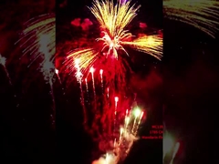 المصنع ليويانغ الماندرين مخصص 178 طلقة الألعاب النارية الكعك 1.4G المستهلك الألعاب النارية للعام الجديد