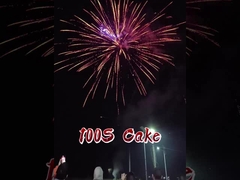 2025 المصنع الصيني 100 طلقة الألعاب النارية الكعكة الورقية FAFBWL الجملة الألعاب النارية الألعاب النارية الجديدة