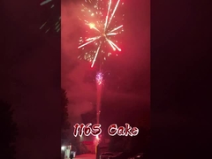 مصنع ليويانغ 116 طلقات الألعاب النارية بالجملة الألعاب النارية النارية الصينية كعكة الألعاب النارية في الهواء الطلق