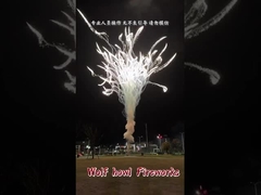الألعاب النارية الصينية بالجملة وولف هاول كعكة الألعاب النارية Feuerwerk Pirotecnia Fuochi D'artificio
