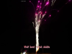 الألعاب النارية الصينية الساخنة صرخة الذئب و الداليا الوردية الكعكة الخارجية بالجملة