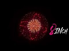 ليويانغ الماندرين 1.3G UN0335 المهنية العرض القذائف الألعاب النارية 8 بوصة قذيفة الهاون المدفعية قذيفة