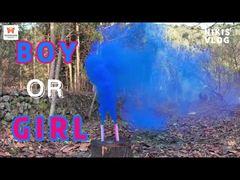 مصنع صيني حفل زفاف نهاري محمول باليد ألوان دخان متوهج ألعاب نارية حفلة تحديد جنس المولود قنابل دخان