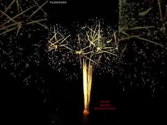 100 طلقة ألعاب نارية كعكة مهرجان عروض في الهواء الطلق محترف ألعاب نارية 1.3G