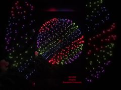 مصنع ليويانغ للمحترفين للألعاب النارية 1.3G UN0335 ألعاب نارية 2