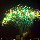 Mandarin Pyrotechnics 130 Shots Professional Display Fireworks 1.4g