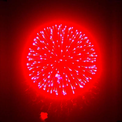 Chinese Factory Fireworks Supplier 1.3G Professional Fireworks For New Year Celebration 6 Inch Display Shells Fireworks