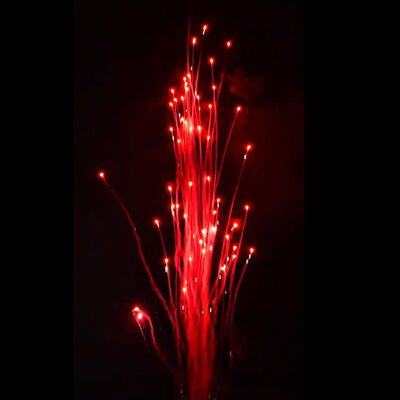 Liuyang Mandarin Fireworks Wholesale Pyrotechnics Red Wolf Howls New Fireworks 100 Shots Cake Fireworks Batteries Outdoor