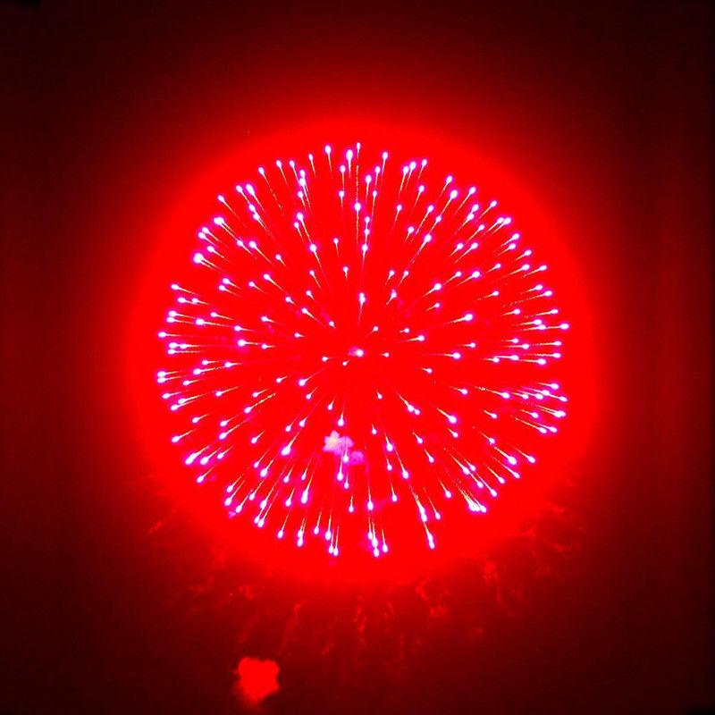 Chinese Factory Fireworks Supplier 1.3G Professional Fireworks For New Year Celebration 6 Inch Display Shells Fireworks