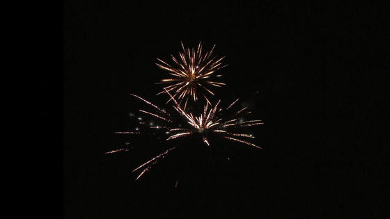 الصينية الصادرة عالية الجودة 22 طلقة 350 غرام من الألعاب النارية الكعكة مع أشكال مختلفة 1.4 غرام Un0336 الألعاب النارية