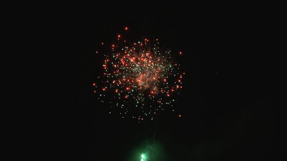 مهرجان عيد الميلاد في الهواء الطلق المهنية كعكة الألعاب النارية للتخصيص 49 لقطة