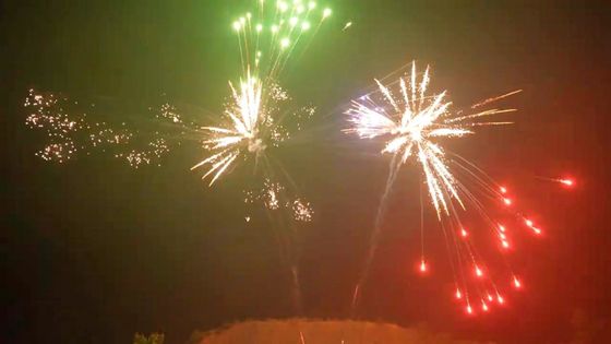 48 لقطة كعكة ألعاب نارية 1.4g UN0336 مع 25 * 30 * 200mm أنابيب وتأثيرات قابلة للتخصيص للمهرجانات