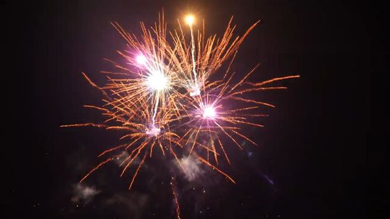21 لقطة من الألعاب النارية ذات التأثيرات الجيدة للألعاب النارية في الهواء الطلق للاحتفال