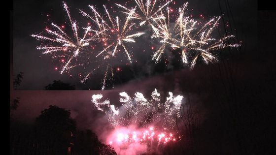 ألعاب نارية ليويانغ 1.3g Un0335 الألعاب النارية 56 طلقة عرض احترافي ألعاب نارية 1.3g للاحتفال بالمهرجان