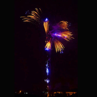 352 طلقة مخصصة السنة الجديدة الألعاب النارية الألعاب النارية الكبيرة المفرقعات النارية كعكة المفرقعات للاحتفال