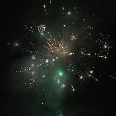 مصنع ليويانغ بيع ساخن أرخص سعر معتمد من قبل المعهد التجاري