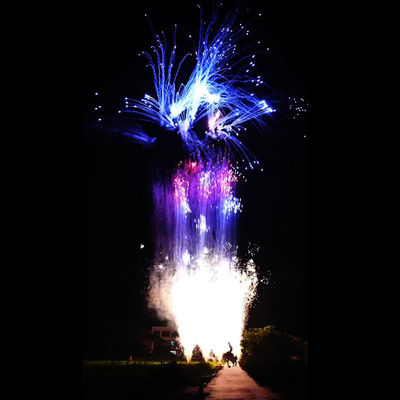 مصنع صيني مخصص 100 طلقة كعكة المستهلك الألعاب النارية للألعاب النارية للاحتفال بالعام الجديد