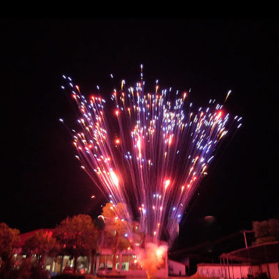 المصنع الصيني الألعاب النارية الألعاب النارية 1.2 بوصة 24 طلقة كعكة الألعاب النارية للاحتفال 1.4g Un0336 الألعاب النارية