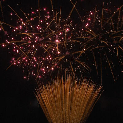 1.2 بوصة 100 طلقات كعكة ألعاب نارية 1.3G المهنية UN0335 المشهورة الألعاب النارية للاحتفالات في الهواء الطلق